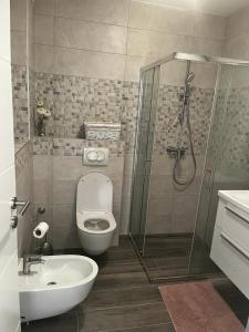 a bathroom with a shower and a toilet and a sink at Apartman Mila in Biograd na Moru