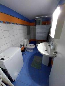 a small bathroom with a toilet and a sink at OLGAS house no1 in Polygyros Chalkidiki in Polygryos