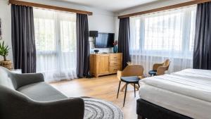 TV a/nebo společenská místnost v ubytování Hotel Europe Brig