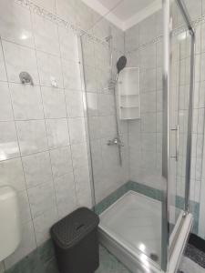 a bathroom with a shower with a toilet and a sink at Apartment Mimi in Opric