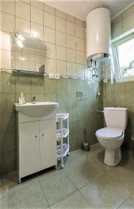 a bathroom with a toilet and a sink at Domki u Marka in Polańczyk