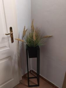 Fotografie z fotogalerie ubytování Dodo's House v destinaci Ferrara