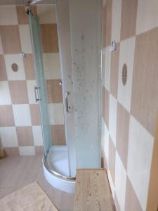 a shower with a glass door in a bathroom at Czerwona Woda in Karłów