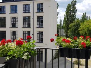 dwa czarne kontenery wypełnione czerwonymi kwiatami na balkonie w obiekcie Niezapominajka przy Manufakturze w Łodzi