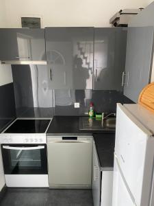 a small kitchen with a stove and a sink at APARTMAN U PRIZEMLJU S 2 SOBE in Stanići