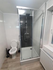 a bathroom with a toilet and a glass shower at Apartment for your Holiday in Ramingstein