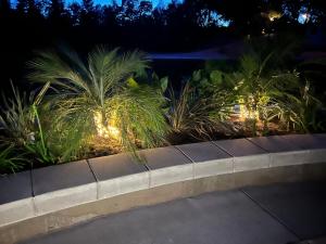 a garden with palm trees and lights at night at The Oasis in Redding