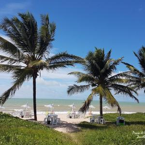 due palme su una spiaggia con l'oceano di Flat Golden Praia joãos pessoa a Cabedelo