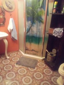 a bathroom with a shower with a rug and a toilet at Grays fishing and hunting rental in Aurora