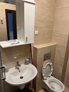a bathroom with a sink and a toilet at Apartman darko in Becici
