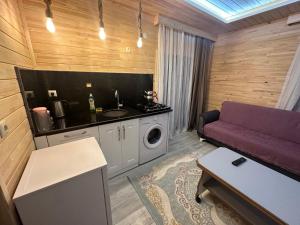 أجنحة هاروس الفندقية في أوزونغول: غرفة معيشة مع أريكة وغسالة