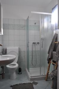 ein Badezimmer mit Dusche, Toilette und Waschbecken in der Unterkunft KAMENJAK VOLME, Cousy house with Pool in Banjole