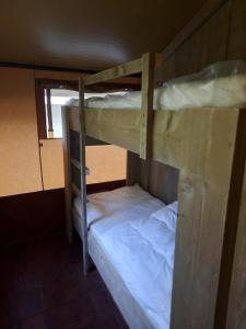 VledderにあるSafaritent Sarek, Wolvenspoor 10の二段ベッド2組が備わる客室です。