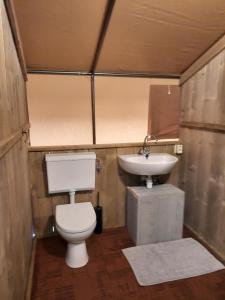 a small bathroom with a toilet and a sink at Safaritent Sarek, Wolvenspoor 10 in Vledder