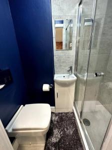 a blue bathroom with a toilet and a shower at Perfect stay with Dallas Studio in Hayes
