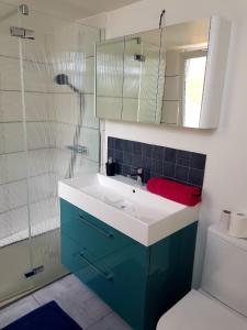 a bathroom with a sink and a shower at Le Chat d'Or - 35m2 - Terrasse - BBQ - WIFI HD in Amiens