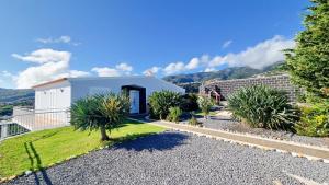 a house with a garden with palm trees at Loreto Rose, Panoramic Ocean and Mountain View in Arco da Calheta