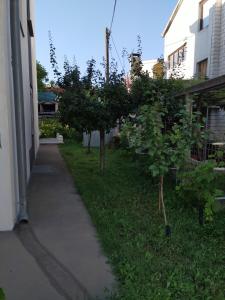 Zahrada ubytování Apartment M & M
