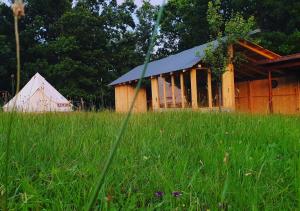 a barn in the middle of a field of tall grass at Texas House in Novaci-Străini