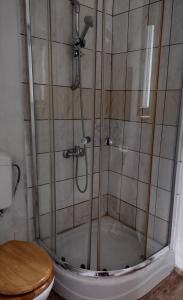 a bathroom with a shower with a toilet at Agroturystyka in Kosarzyn