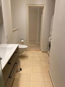 a white bathroom with a sink and a toilet at City Center Apartments 870 in Copenhagen