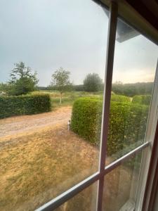 a view from a window of a hedge at Slapen op De Bult Green 2 persons in De Bult +10 photos