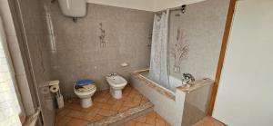 a bathroom with a toilet and a sink and a shower at Delizioso appartamento collinare in Limigiano