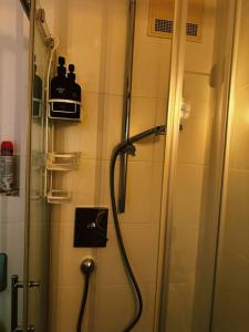 a shower in a bathroom with a glass door at Coole Wohnung + Gratis Parkplatz in Schwäbisch Hall
