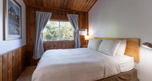Ένα ή περισσότερα κρεβάτια σε δωμάτιο στο Cedar Motel