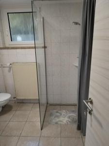 baño con ducha y puerta de cristal en Apartment Jalen, en Bohinjska Bela