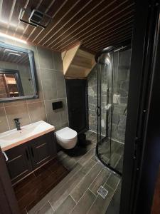 アイダー・ヤイラシにあるAYDER VANAK STONE SUİTESのバスルーム(シャワー、トイレ、シンク付)