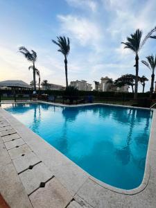 a large blue swimming pool with palm trees in the background at قصر علي لسان الوزراء مارينا العلمين مطروح in El Alamein