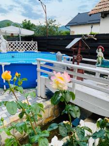 a wooden bench in a garden with a flower at “ Casa SARYL “ Târgu Ocna in Tîrgu Ocna +18 photos