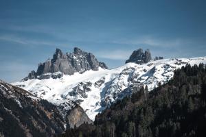 a snow covered mountain with trees in front of it at Chalet Casita in Engelberg