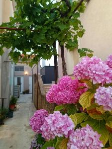 een bos roze bloemen aan de zijkant van een gebouw bij Apartman Gallery Freya in Zadar
