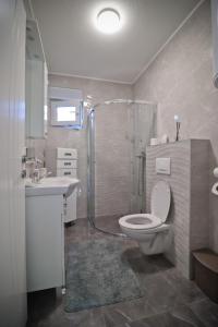 y baño con ducha, aseo y lavamanos. en Villa Lux, en Bosanska Krupa