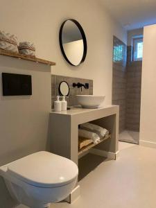 een badkamer met een toilet, een wastafel en een spiegel bij Stijlvol huisje met veranda! Tuynloodz A in Beers