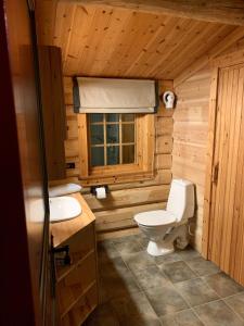 a bathroom with a toilet and a sink and a window at Timber Lodge in Uvdal Skisenter VIEW/WIFI in Sønstebø