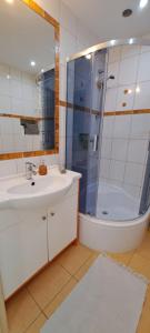 a bathroom with a shower and a sink and a mirror at Zaspa Apartament in Gdańsk