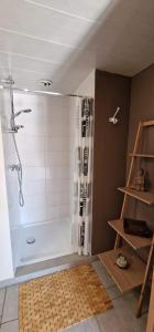 y baño con ducha y cortina de ducha. en Le Chant du Coq, en Chassepierre