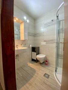 a bathroom with a toilet and a sink and a shower at Apartma EMI in Bovec