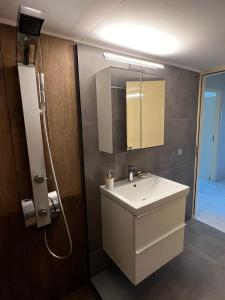 a bathroom with a sink and a mirror at blue and green II in Chania