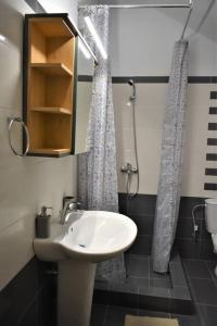 a bathroom with a sink and a shower at Smailis apartment 1 in Koróni