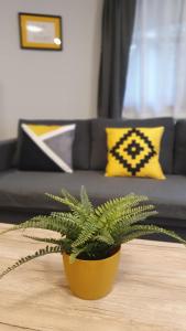 Posedenie v ubytovaní Danubia Apartman