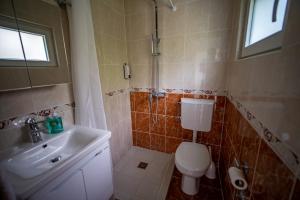 a bathroom with a toilet and a sink and a shower at Studio apartment Villa Radovic in Strp