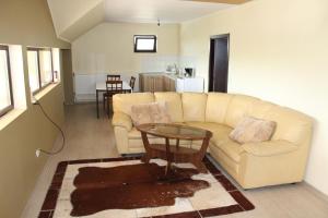 a living room with a couch and a table at Pensiunea Giovani in Târgu Jiu