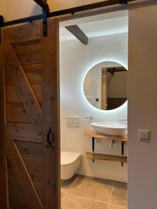 een badkamer met een houten deur en een spiegel bij Bed & Breakfast de Hoefstal in Noord-Sleen