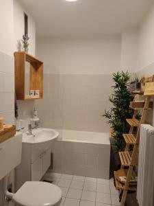 een badkamer met een wastafel, een bad en een toilet bij Apartman Vervis Varaždin in Varaždin
