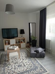 a living room with a couch and a tv at Apartman Vervis Varaždin in Varaždin