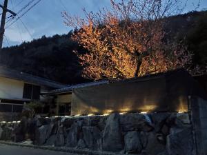 Natural open-air hot spring Chizu - Vacation STAY 16412v في تاكاماتسو: شجرة بها أضواء فوق جدار حجري